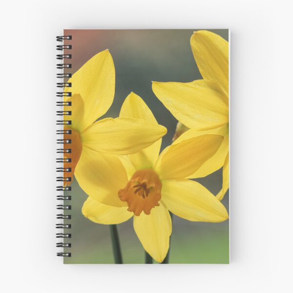 Item preview,  Daffodils. designed and sold by John Ray.