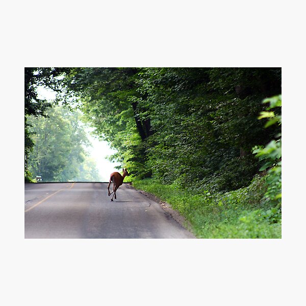 Item preview, NAPPANEE INDIANA AUGUST 2009 designed and sold by photographized.