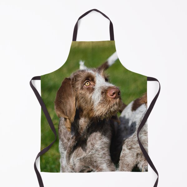 Item preview, Brown Roan Italian Spinone Puppies by heidiannemorris designed and sold by FOLK ART FUSION by heidiannemorris.