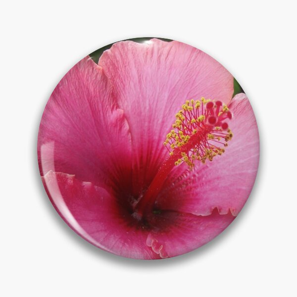 Item preview, Red Hibiscus designed and sold by Sharon Schwalbe.