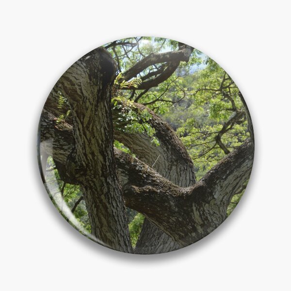 Item preview, Australian Tree Art designed and sold by Sharon Schwalbe.