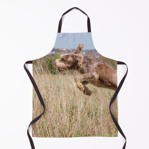 Item preview, Spinone leaping by heidiannemorris designed and sold by FOLK ART FUSION by heidiannemorris.