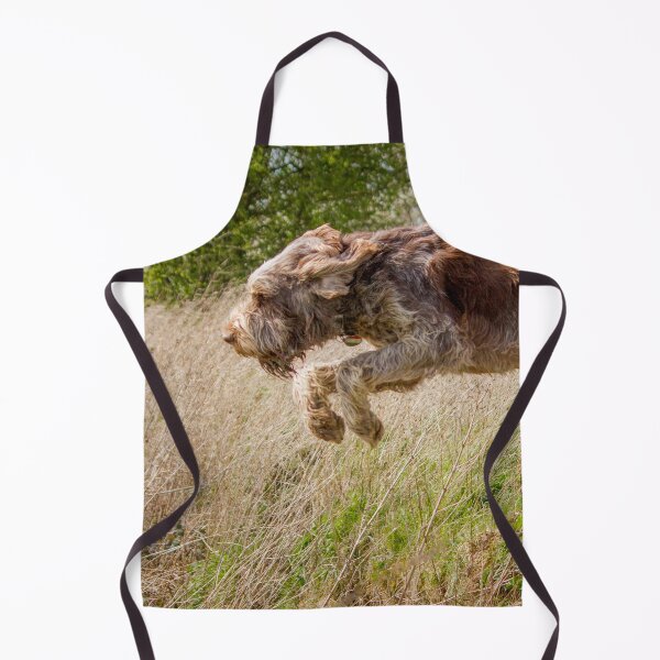 Item preview, Jumping Spinone by heidiannemorris designed and sold by FOLK ART FUSION by heidiannemorris.