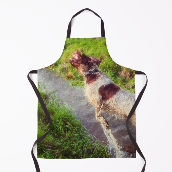 Item preview, Leaping a ditch and catching grass Spinone designed and sold by FOLK ART FUSION by heidiannemorris.