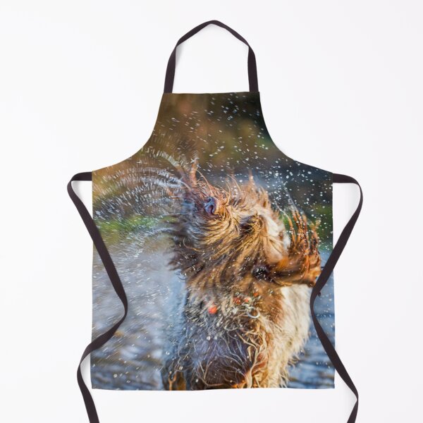 Item preview, Water Fountain Spinone designed and sold by FOLK ART FUSION by heidiannemorris.