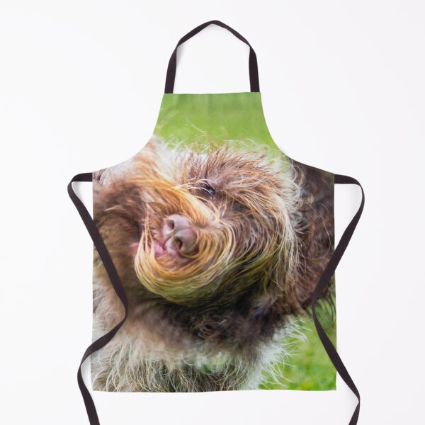 Item preview, Shake it out Spinone designed and sold by FOLK ART FUSION by heidiannemorris.