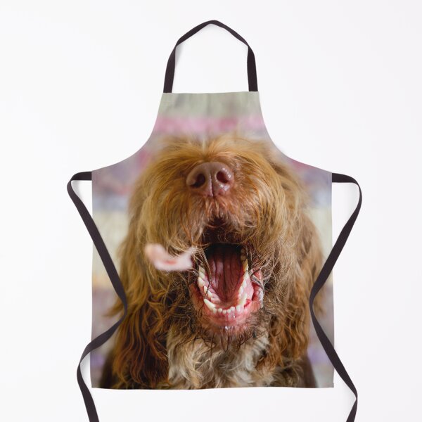 Item preview, Come to Papa Spinone treat time designed and sold by FOLK ART FUSION by heidiannemorris.