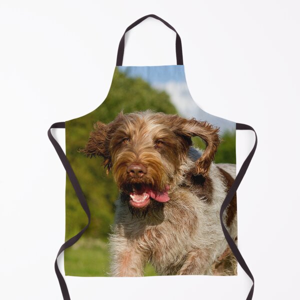 Item preview, Running in love Spinone designed and sold by FOLK ART FUSION by heidiannemorris.