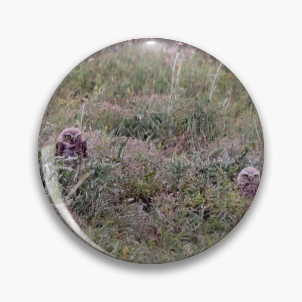 Item preview, Burrowing Owls in the Badlands designed and sold by Alison Hindenlang.