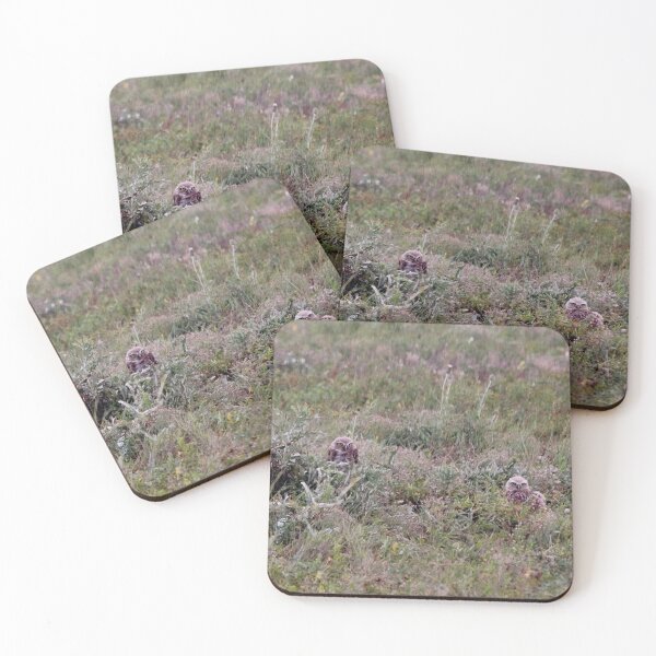 Item preview, Burrowing Owls in the Badlands designed and sold by Alison Hindenlang.