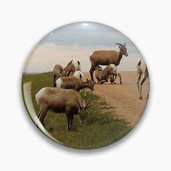 Aperçu de l'œuvre Où jouent les "antilopes" créée et vendue par Alison Hindenlang.