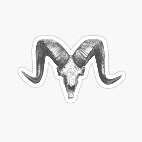 Item preview, Vintage Goat Skull Illistration - White designed and sold by kuenzicreative.