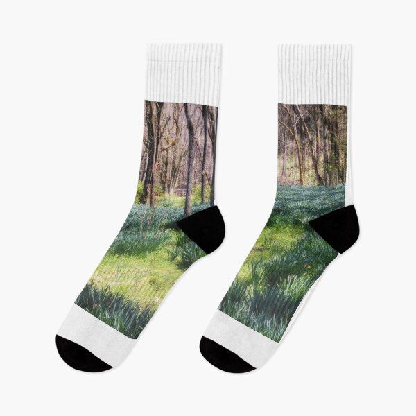 Item preview, The Emergence Of Spring designed and sold by Jim Love.