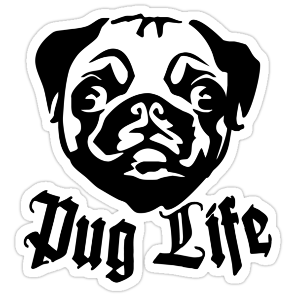 Download "pug life" Stickers by Cheesybee | Redbubble