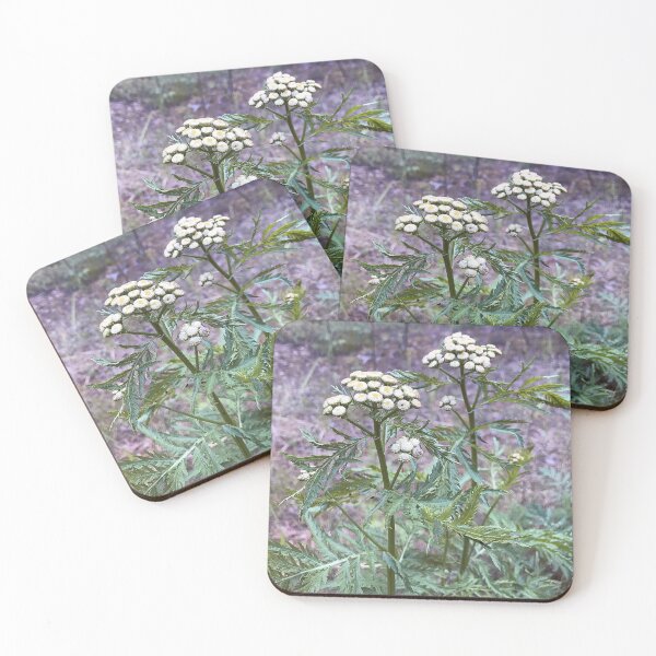 Item preview, White tansies designed and sold by vieno.