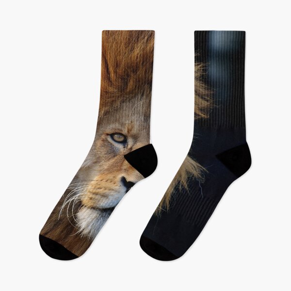 Item preview, Lion 008 designed and sold by JAMFoto.