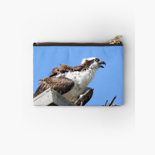 Item preview, Osprey with Blue Sky designed and sold by 603crafttrends.