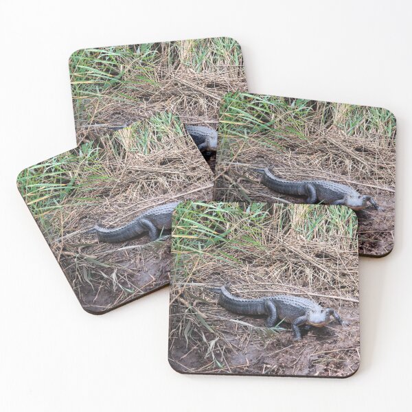 Item preview, Charlene The Alligator designed and sold by Cynthia48.
