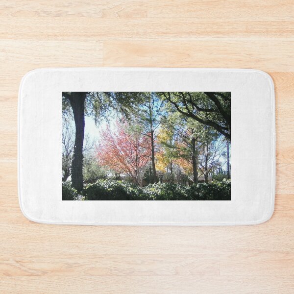 Item preview, Late Autumn in West Texas designed and sold by JoeyD-Stabbie.