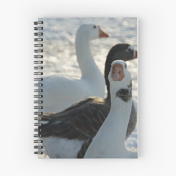 Item preview, duck Duck Duck designed and sold by KensLensDesigns.