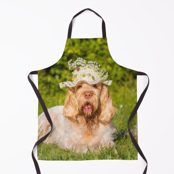 Item preview, Summer Picnic Spinone by heidiannemorris designed and sold by FOLK ART FUSION by heidiannemorris.