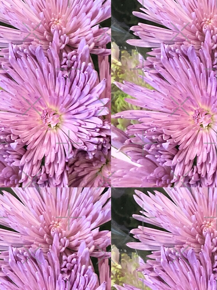 Purple flowers, Purple flowers by PicsByMi