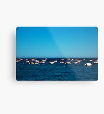 shipping Metal Print