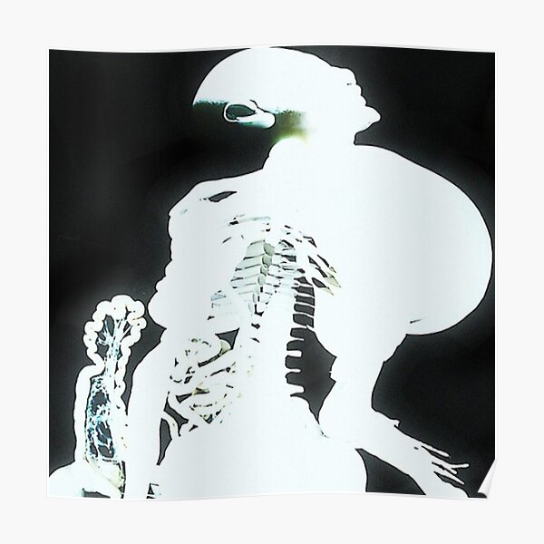 Arca Entrañas Poster