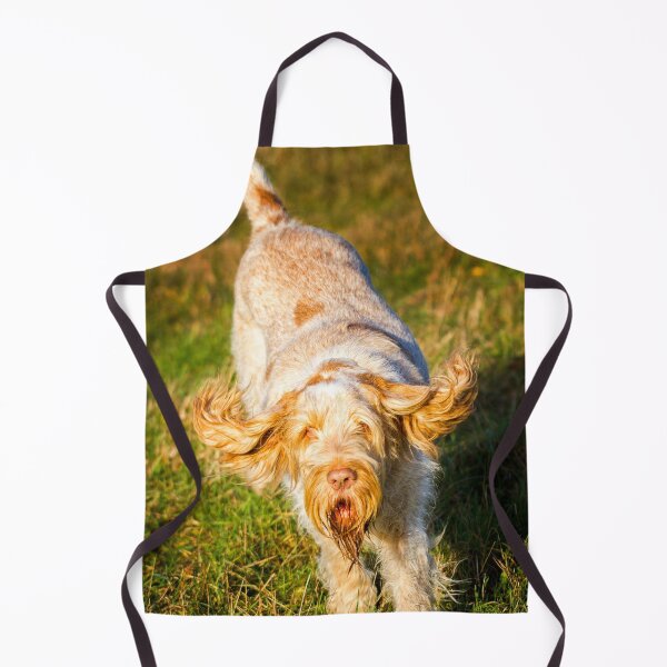 Item preview, Golden ears Spinone by heidiannemorris © designed and sold by FOLK ART FUSION by heidiannemorris.
