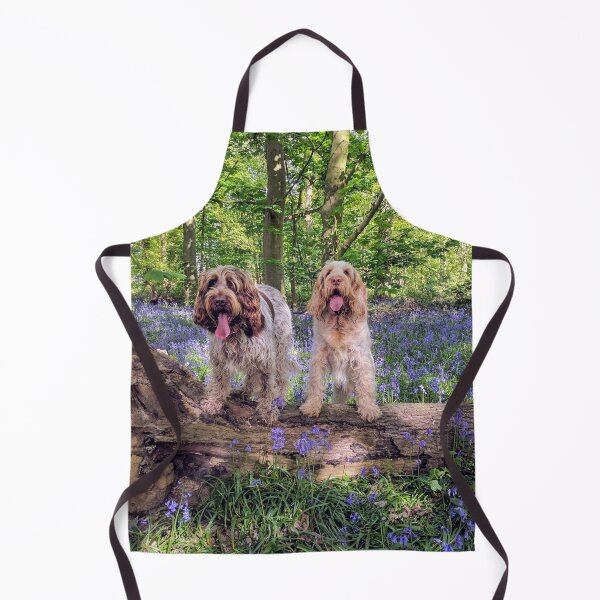 Item preview, Two Spinone in a bluebell wood by heidiannemorris designed and sold by FOLK ART FUSION by heidiannemorris.