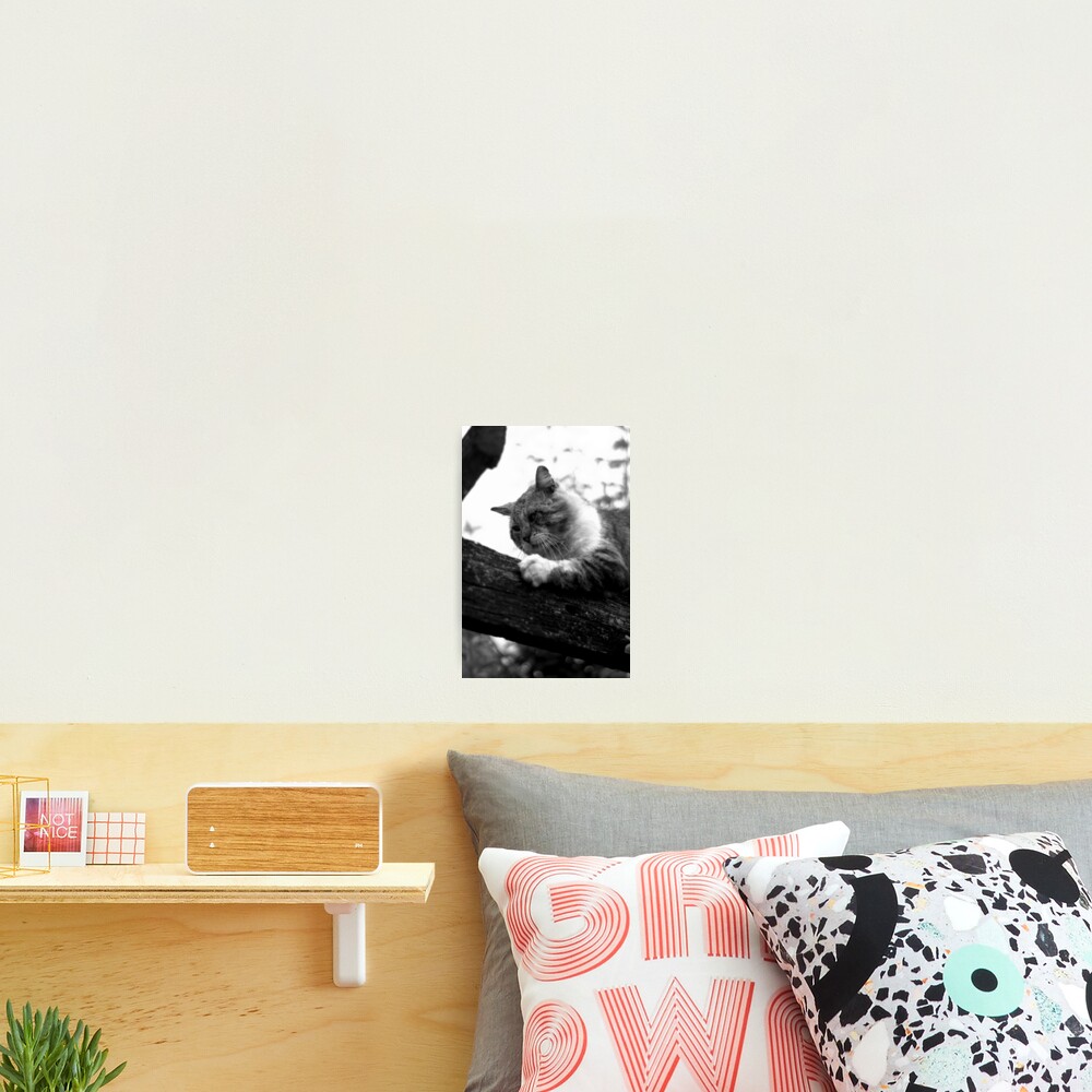 Item preview, Photographic Print designed and sold by devil0035.