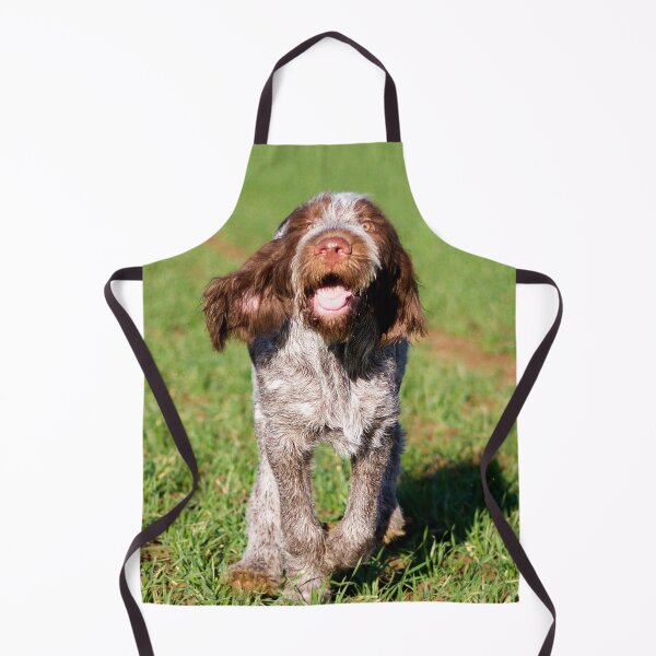 Item preview, Brown Roan Italian Spinone Puppy Dog In Action by heidiannemorris by heidiannemorris © designed and sold by FOLK ART FUSION by heidiannemorris.