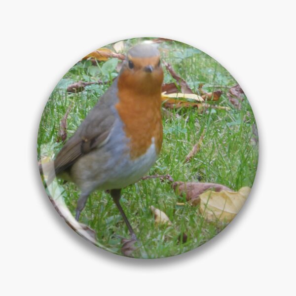 Item preview, Robin designed and sold by Wizz Bang.