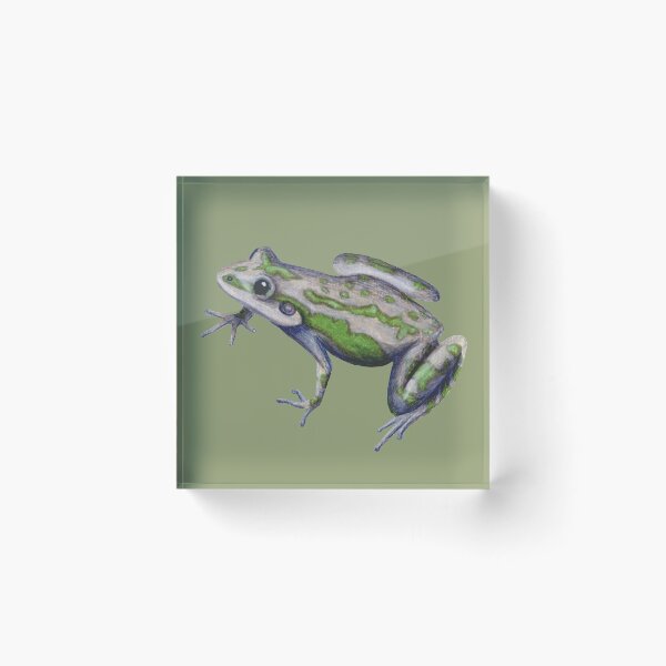Item preview, Spotted Chorus Frog designed and sold by Platinumfrog.