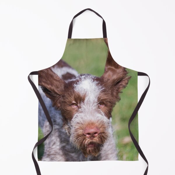 Item preview, Brown Roan Italian Spinone Puppy Dog In Action by heidiannemorris © designed and sold by FOLK ART FUSION by heidiannemorris.