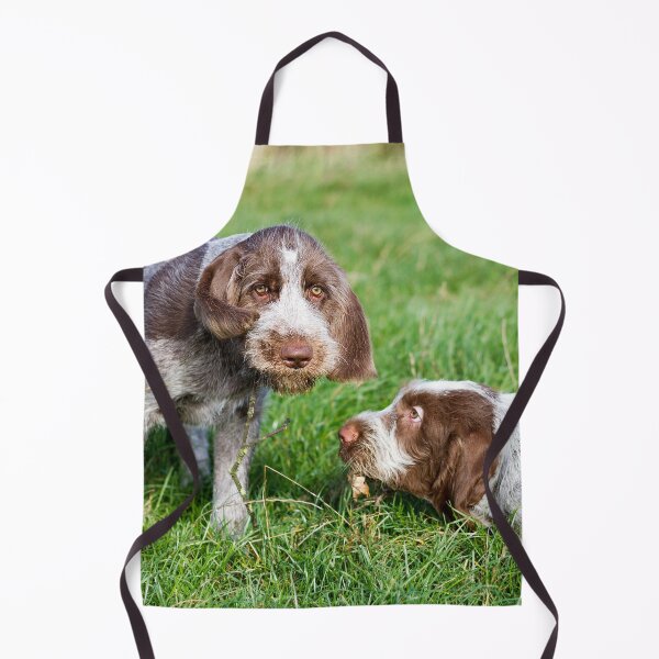 Item preview, Puppy playtime Spinone designed and sold by FOLK ART FUSION by heidiannemorris.