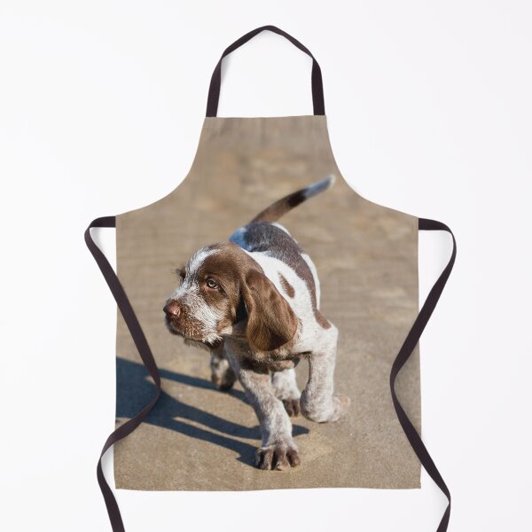 Item preview, Shadow Spinone designed and sold by FOLK ART FUSION by heidiannemorris.