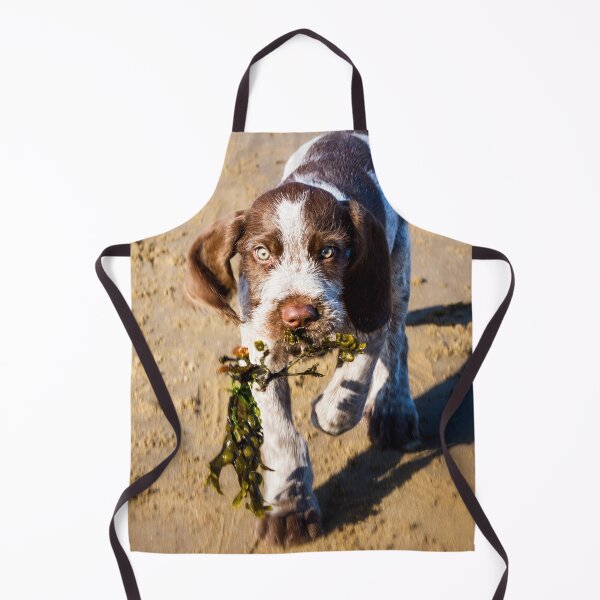 Item preview, Seaweed Puppy Spinone  designed and sold by FOLK ART FUSION by heidiannemorris.