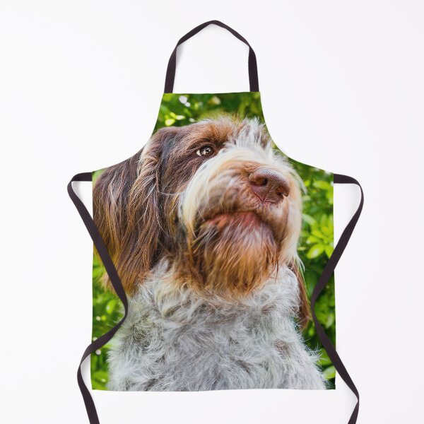 Item preview, Say what? Spinone by heidiannemorris designed and sold by FOLK ART FUSION by heidiannemorris.