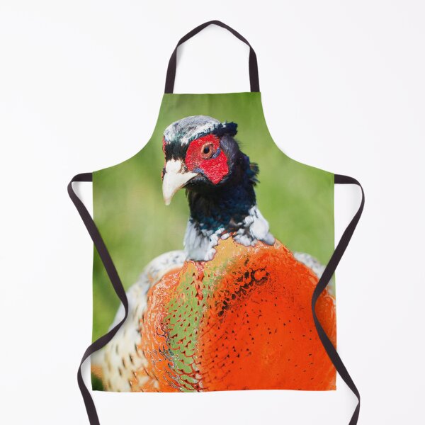 Item preview, The Pleasant Orange Pheasant designed and sold by FOLK ART FUSION by heidiannemorris.