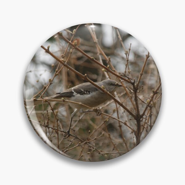 Item preview, Bare Neccesity designed and sold by KensLensDesigns.