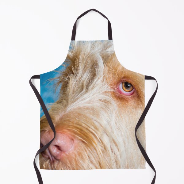 Item preview, Delicate thoughts Spinone by heidiannemorris designed and sold by FOLK ART FUSION by heidiannemorris.