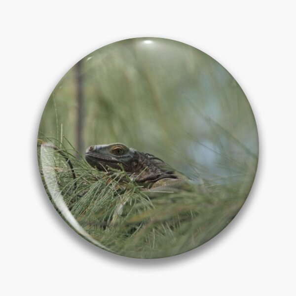 Item preview, Tree Peeper designed and sold by KensLensDesigns.