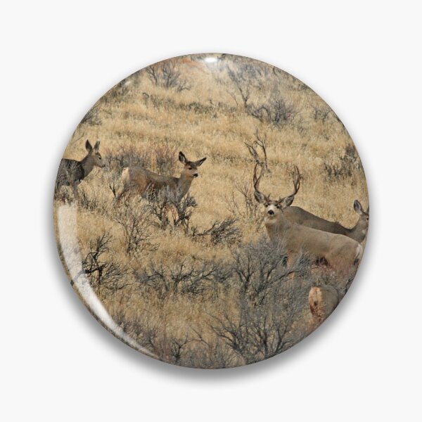 Item preview, Western desert Mule deer designed and sold by Saltypro.