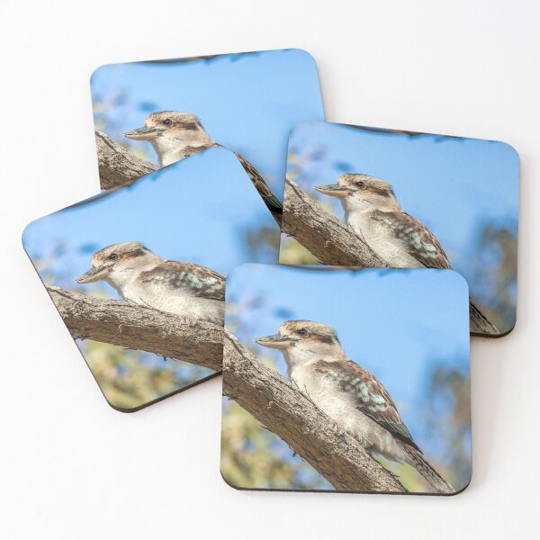 Item preview, Kookaburra Profile designed and sold by Luke Foster.