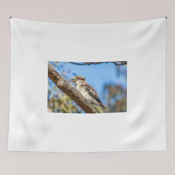 Item preview, Kookaburra Profile designed and sold by Luke Foster.
