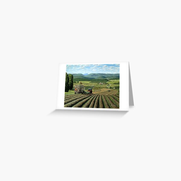 Twin Maple Farm Greeting Card