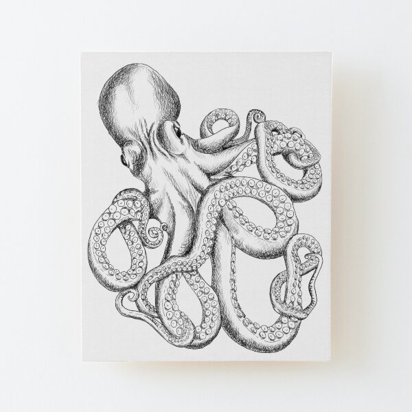 Octopus Tentacle Two-Tone Drawing Art Board Print for Sale by  SuspendedDreams