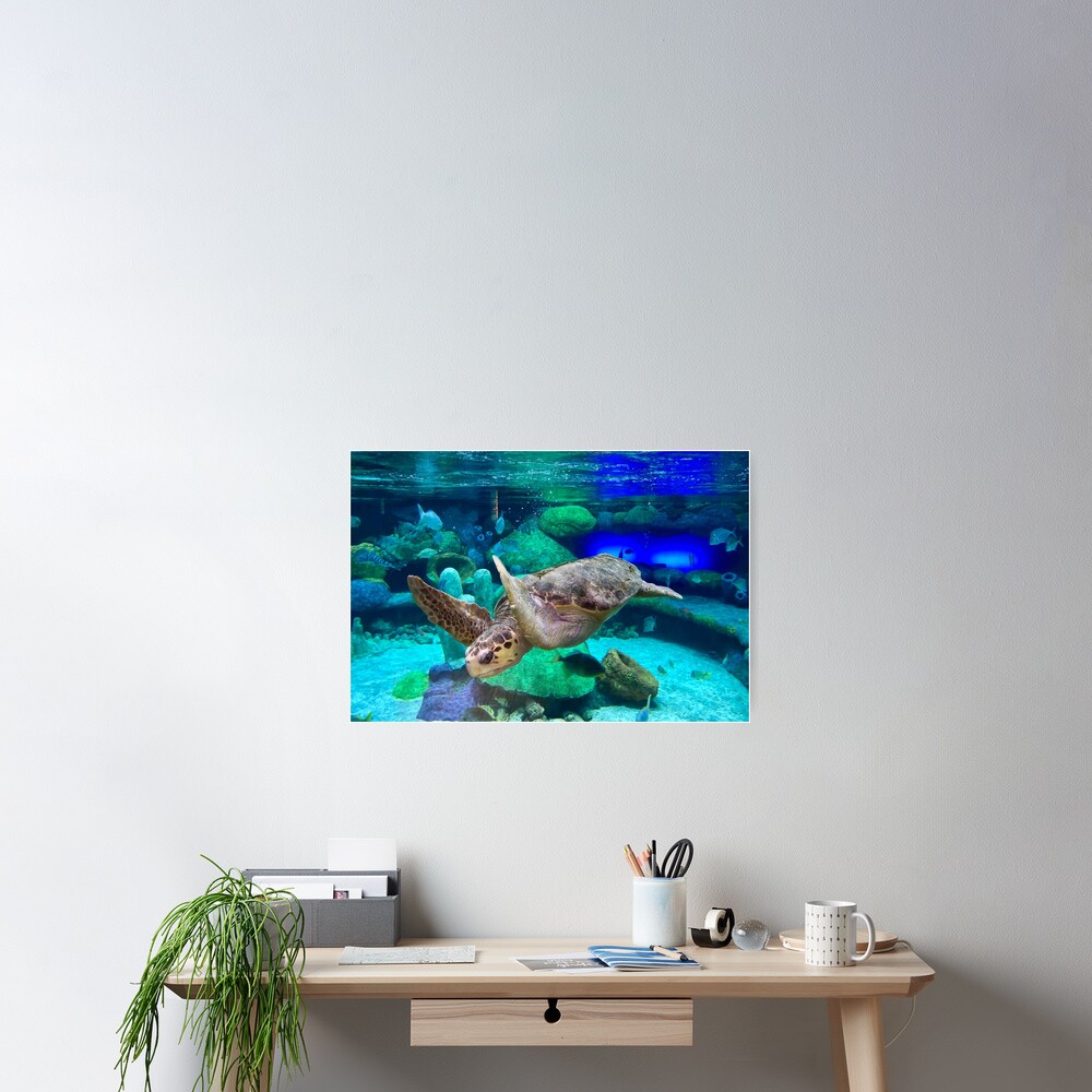 Item preview, Poster designed and sold by rossifari.