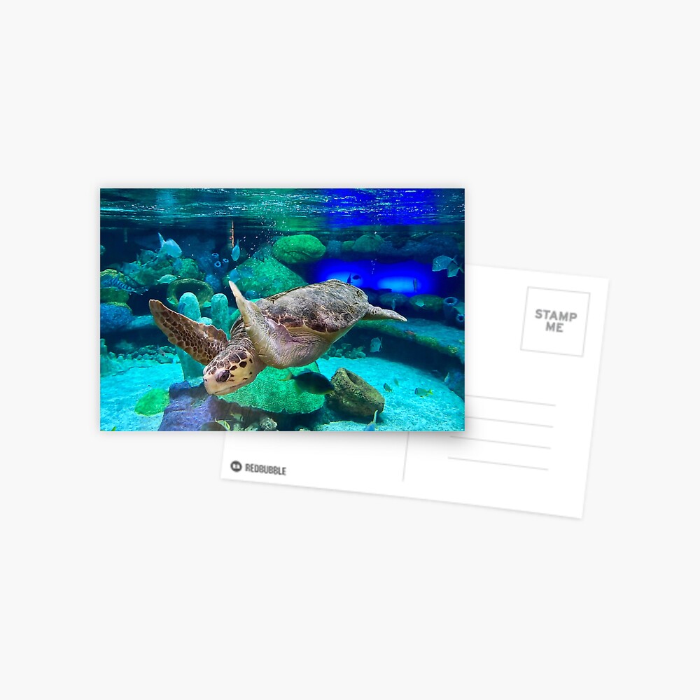 Item preview, Postcard designed and sold by rossifari.